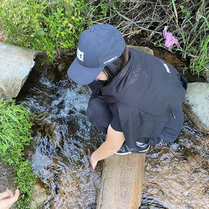 Meet your Posher, Baratova